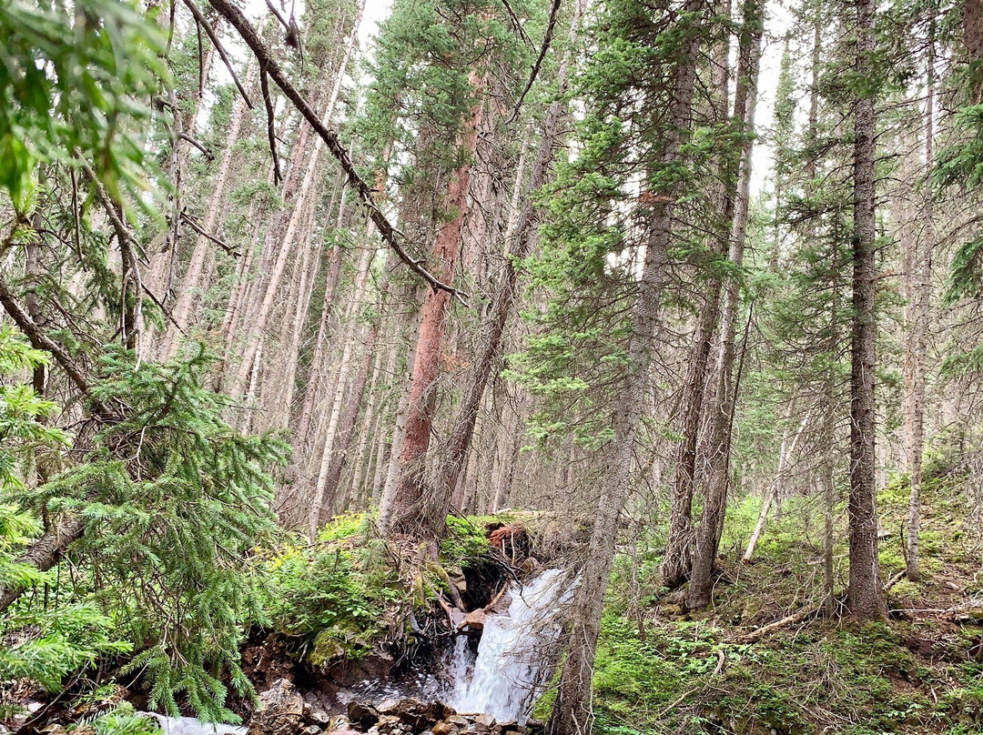 North Tenmile Trail #37-弗里斯科必去景点