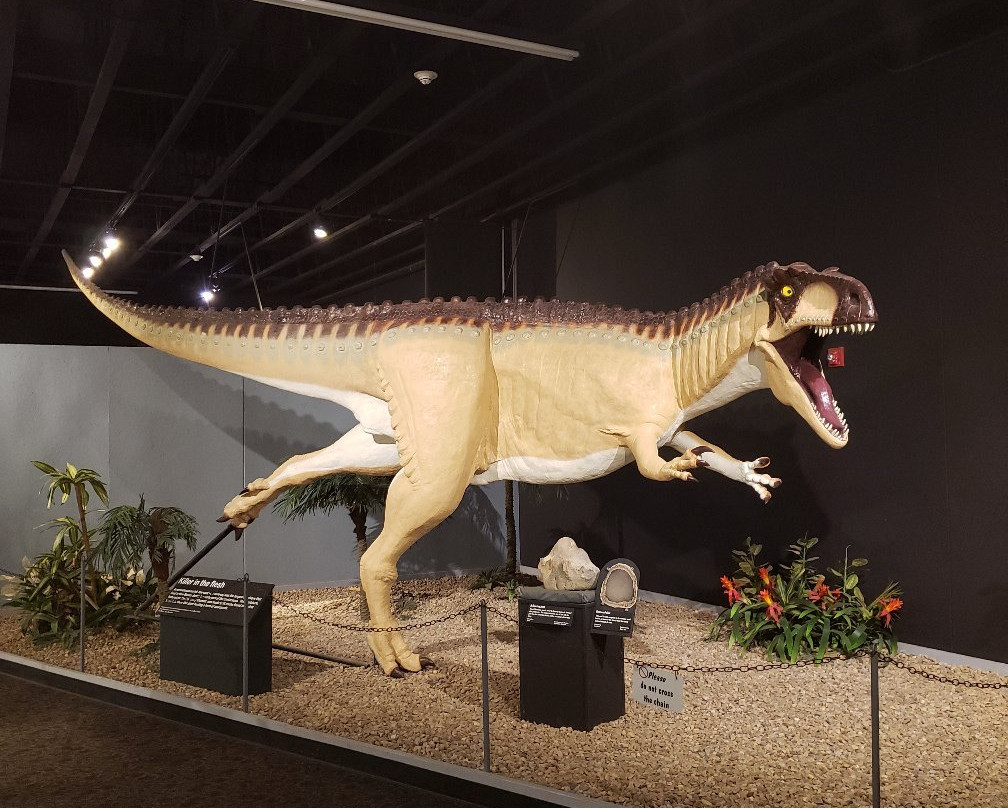 Mesalands Community College's Dinosaur Museum and Natural Sciences Laboratory景点图片