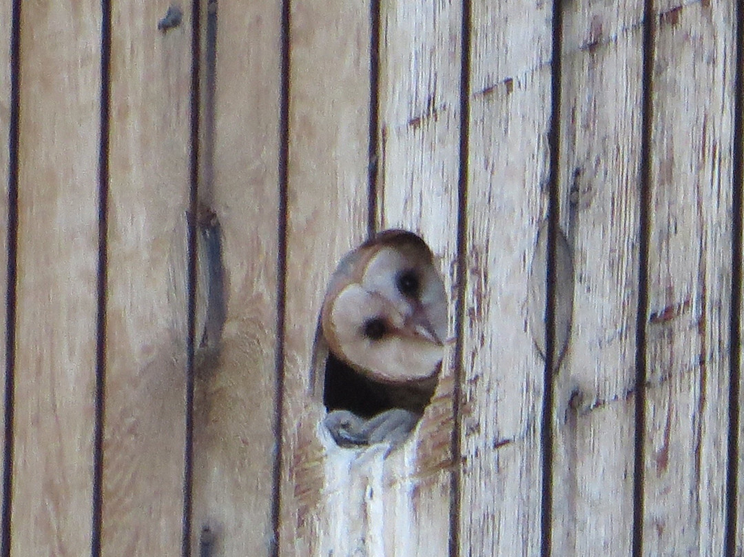 Deer Run Ranch Bed and Breakfast主图