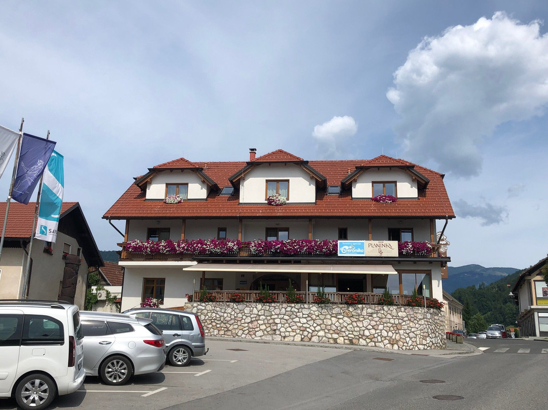 Hotel Planinka主图