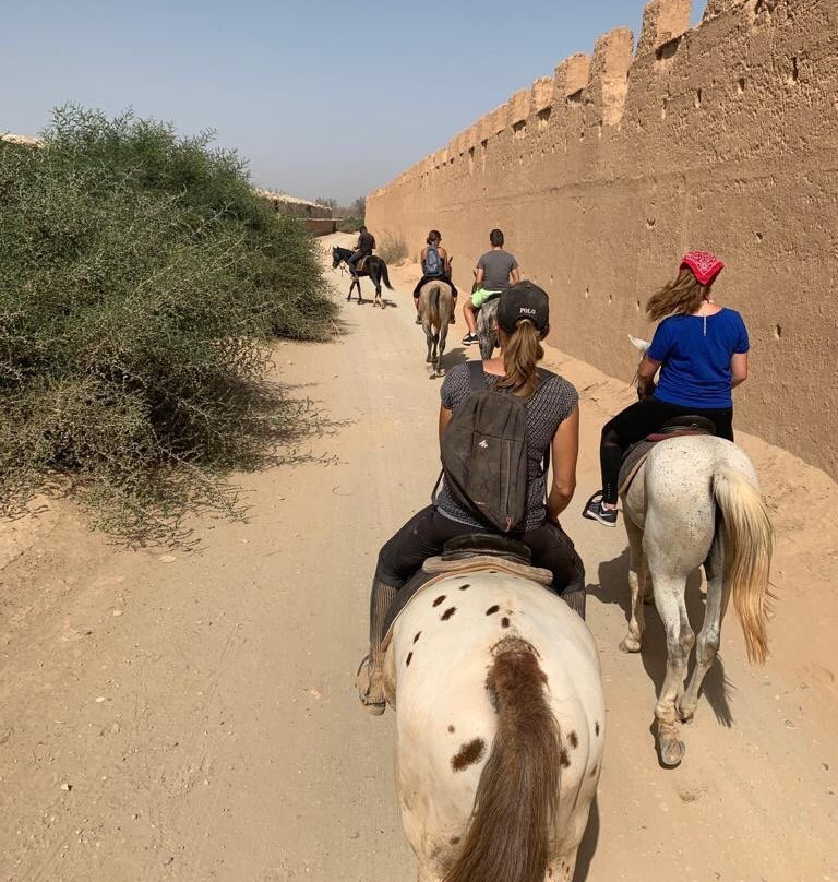 Les écuries de La Roseraie-塔鲁丹特必去景点