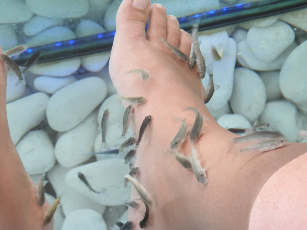 Doctor Fish Spa Therapy Sissi-Sissi必去景点