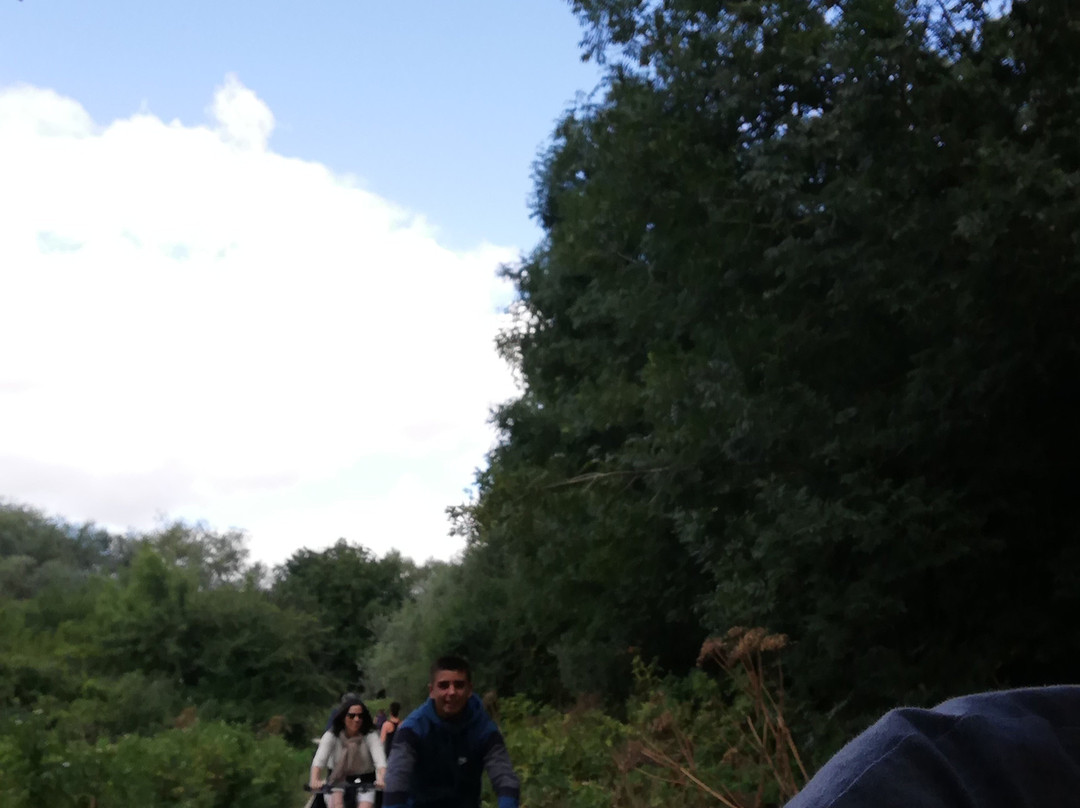 Guiartu-维多利亚必去景点