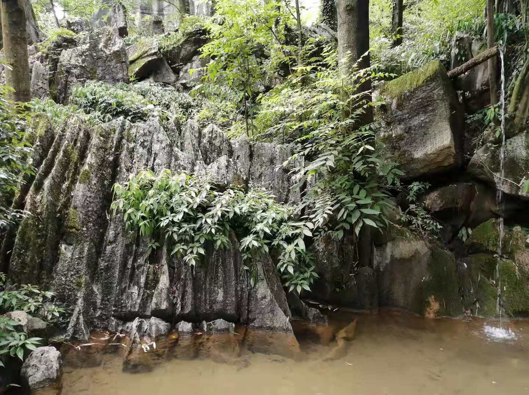 万盛石林风景区景点图片