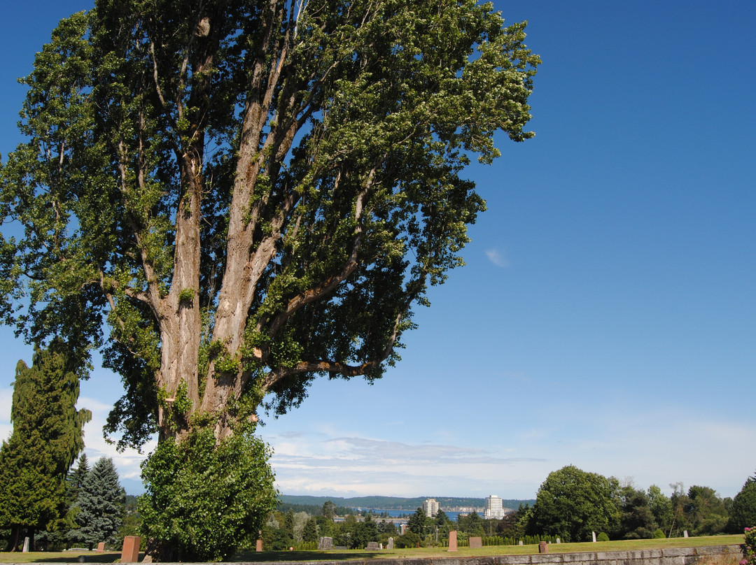 AnnArthur Guest House - Harbour Suite主图