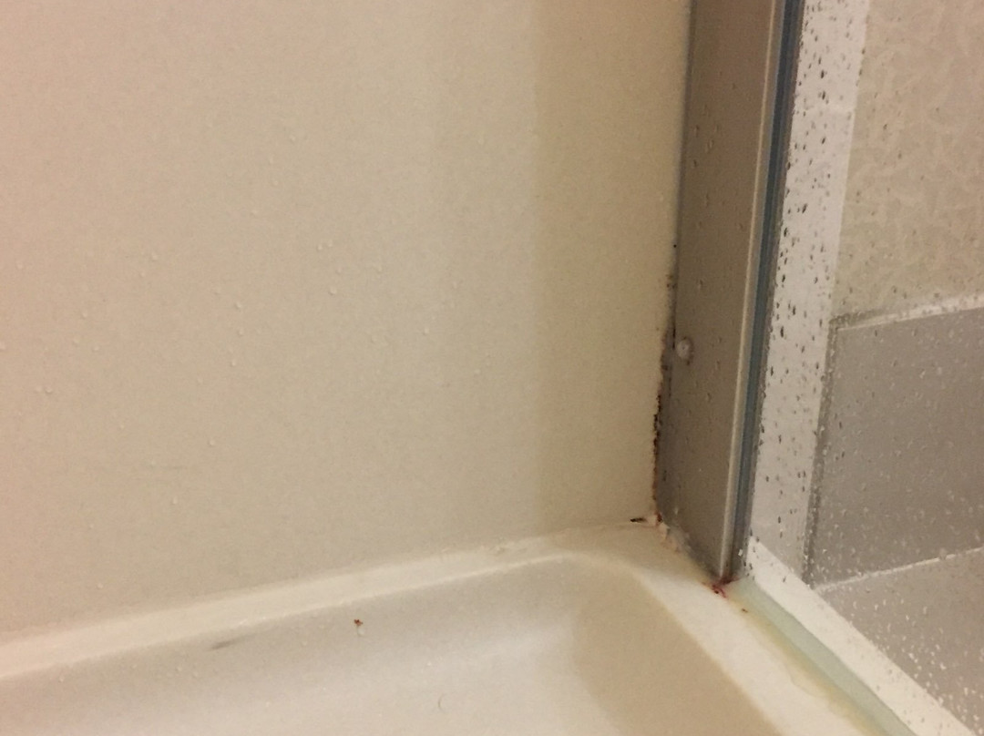 苏斯瀑布希尔顿花园酒店主图