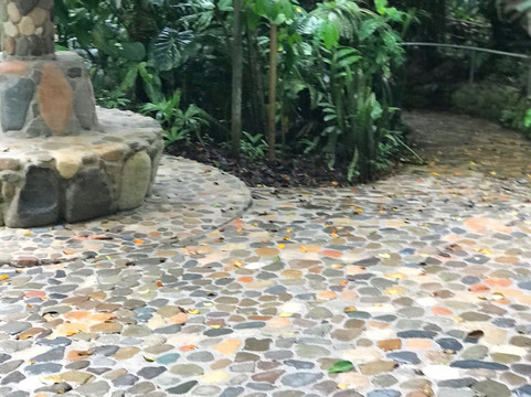 阿拉瓦纳丛林温泉度假村主图