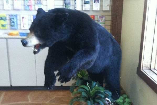 Crossville-Cumberland County Gateway to the Big South Fork Visitor Center-Crossville必去景点