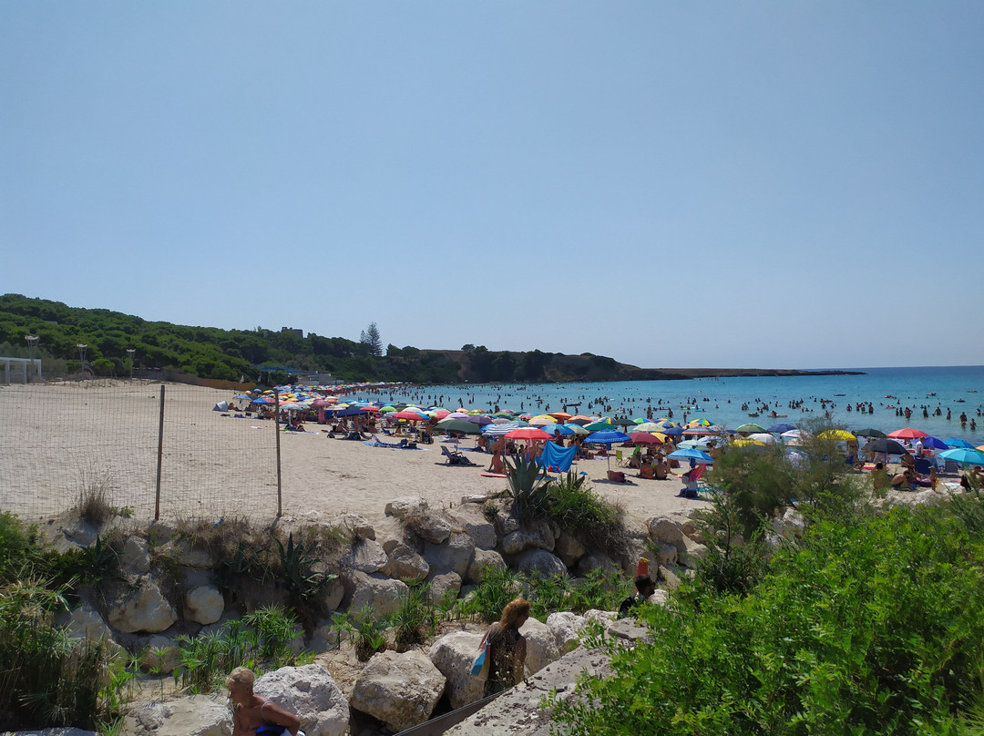 Spiaggia di Lido Silvana景点图片