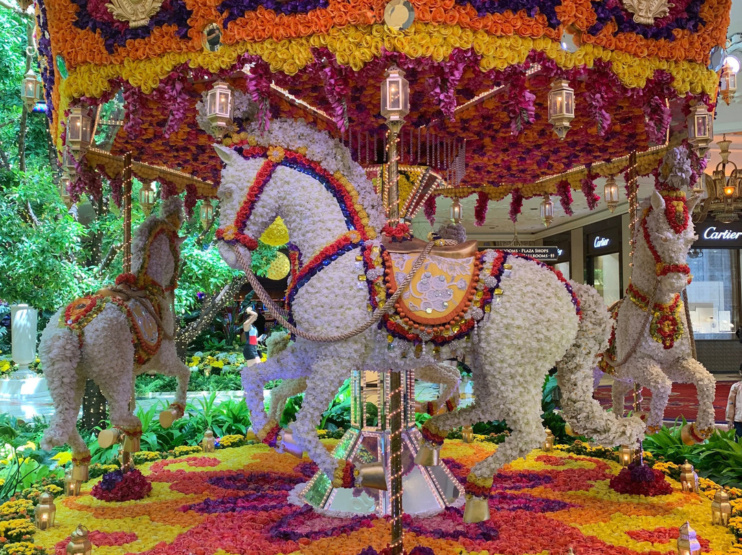 拉斯维加斯永利酒店主图