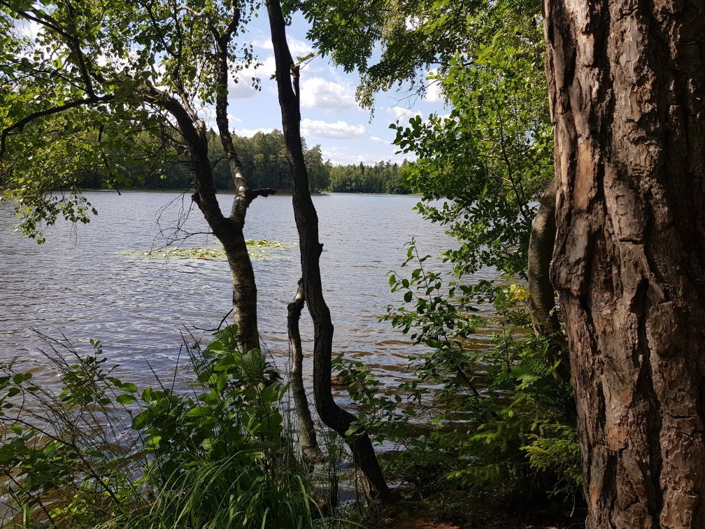 Kuusijärvi景点图片