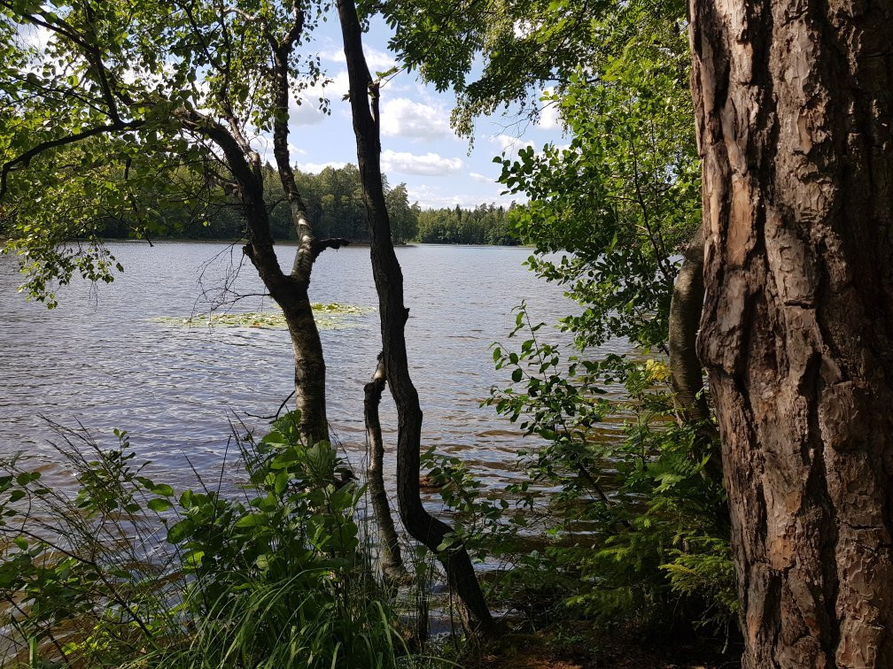 Kuusijärvi-万塔必去景点
