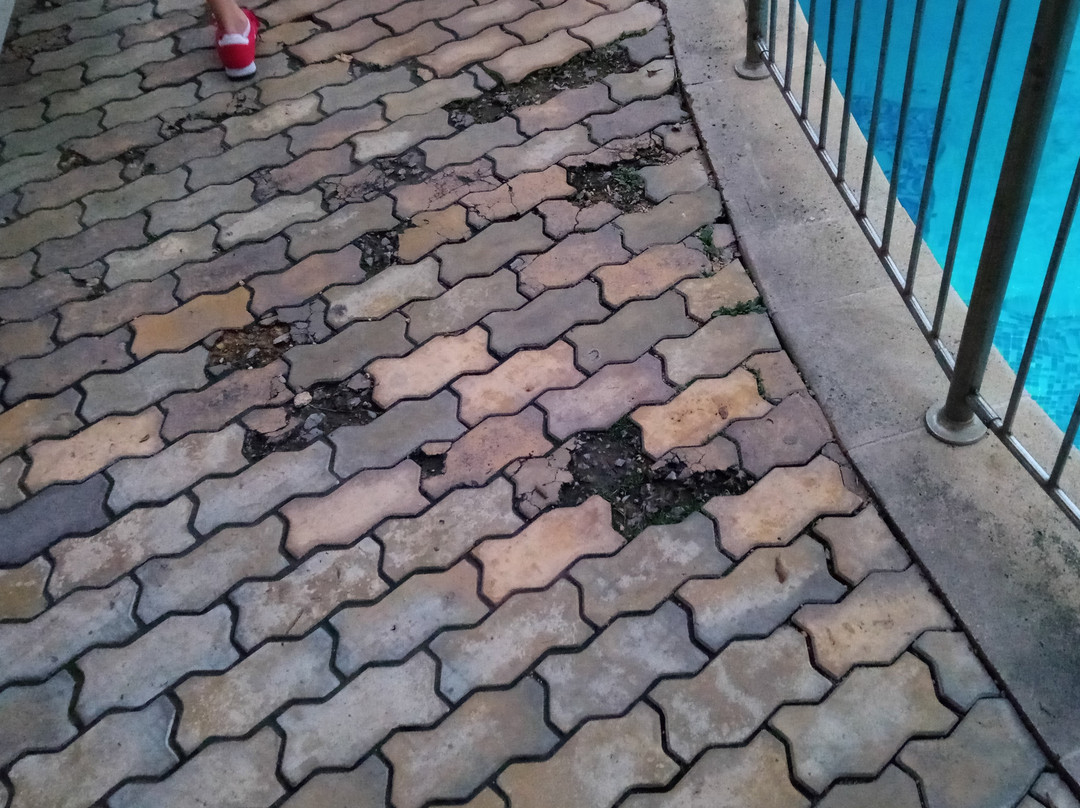 Hotel Orchidea主图