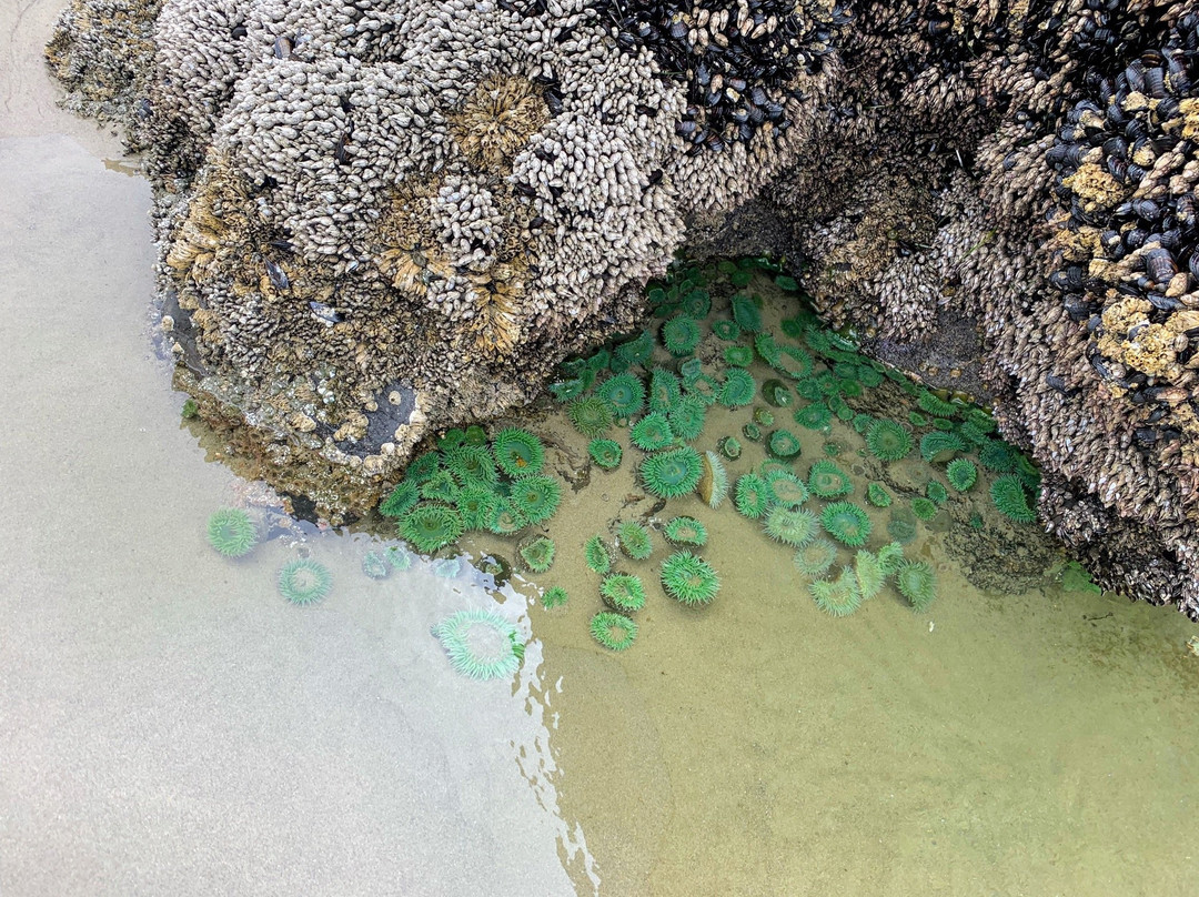 Strawberry Hill Wayside-弗洛伦斯必去景点