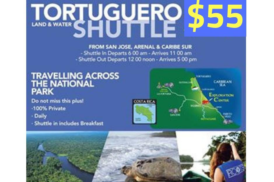 Costa Rica Roots Shuttle景点图片