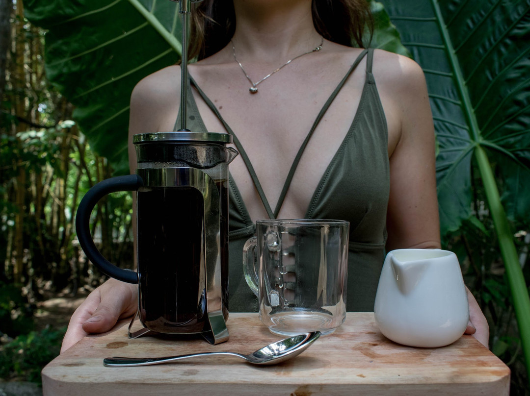 House Under Palmtrees