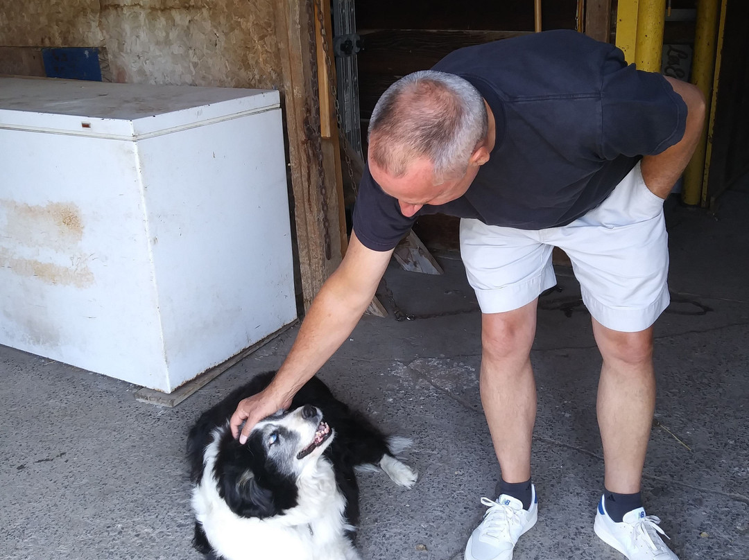 Cranberry House主图