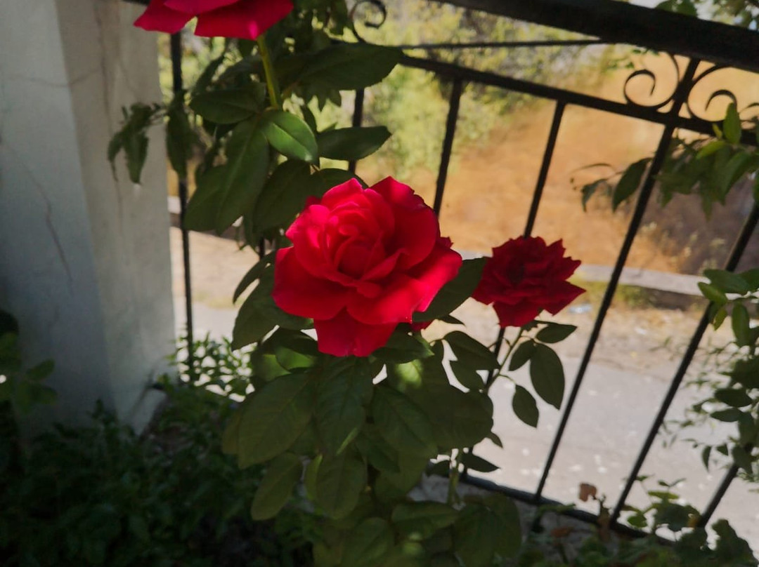 吉米的家公寓主图