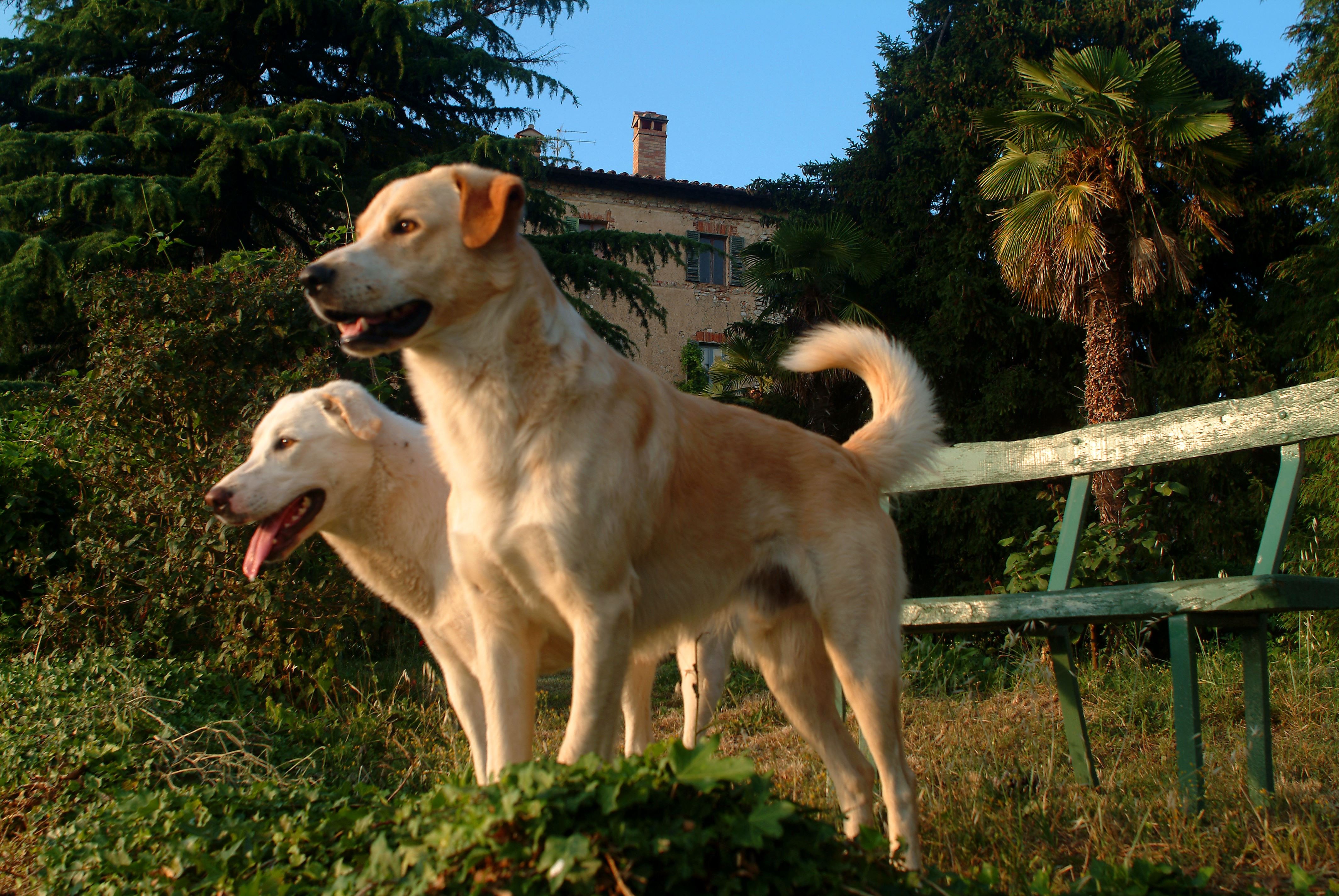 Agriturismo Borgo Spante-官方