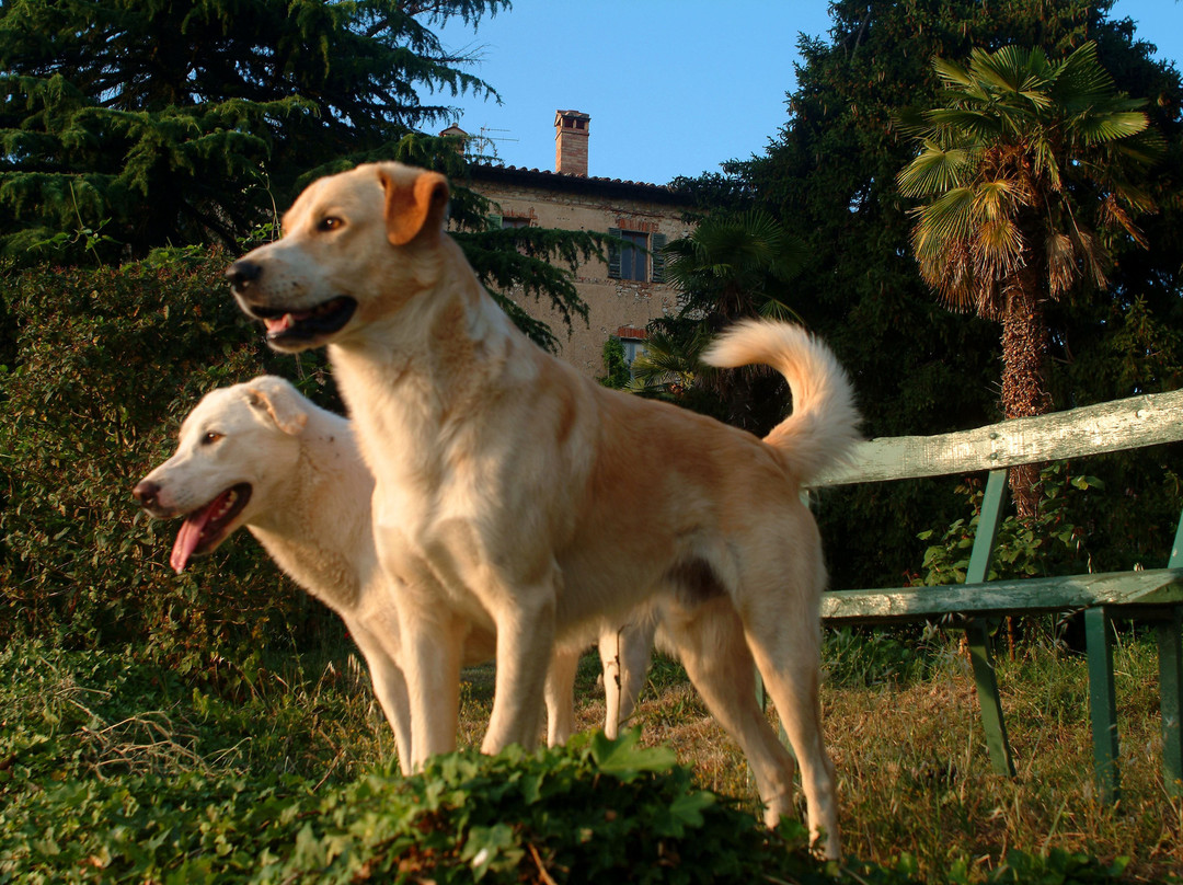 Agriturismo Borgo Spante主图