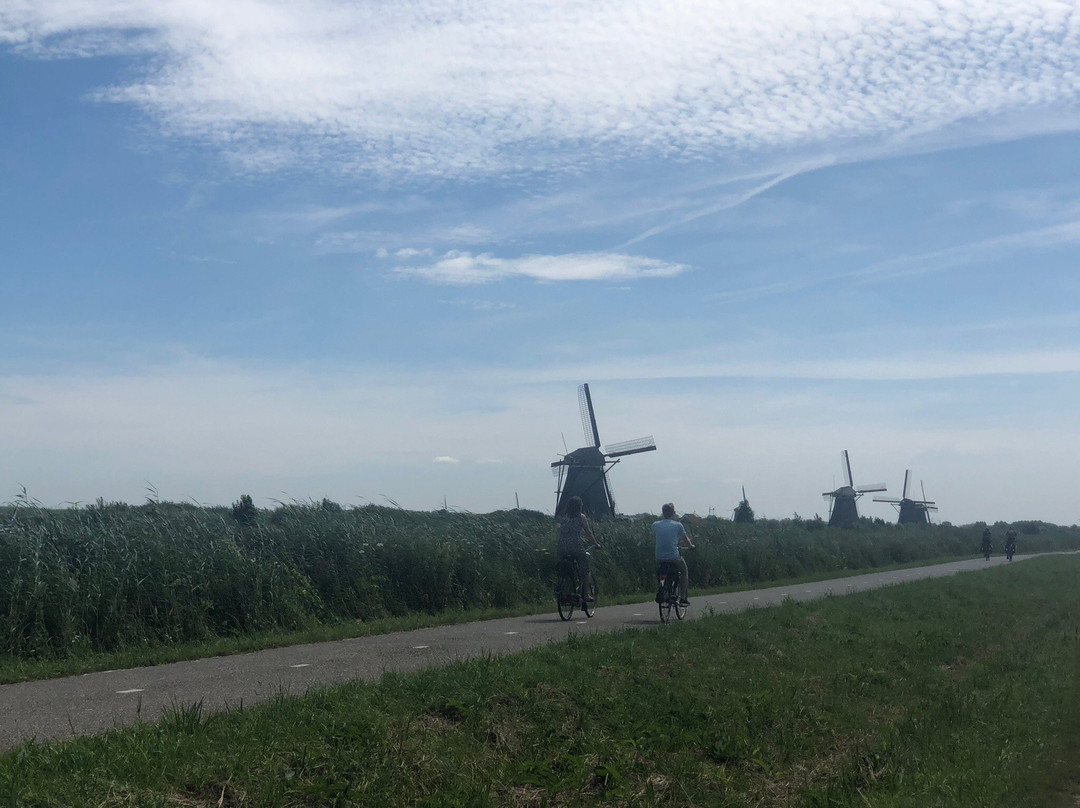 Travel Kinderdijk景点图片