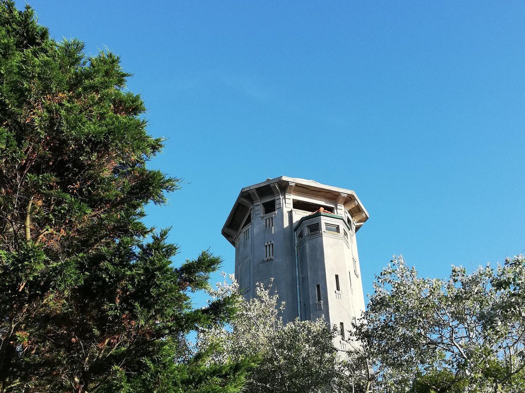 JOLA Tours - Schnipseljagd Noordwijk-诺德韦克必去景点