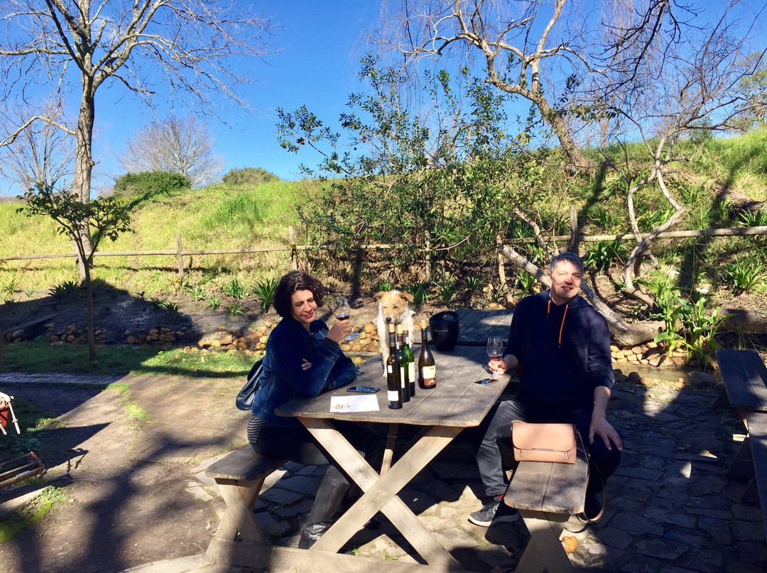 Annandale Wine Estate-斯泰伦博斯必去景点