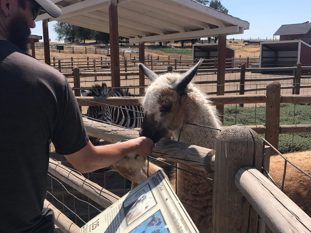 Babby Farms-Caldwell必去景点