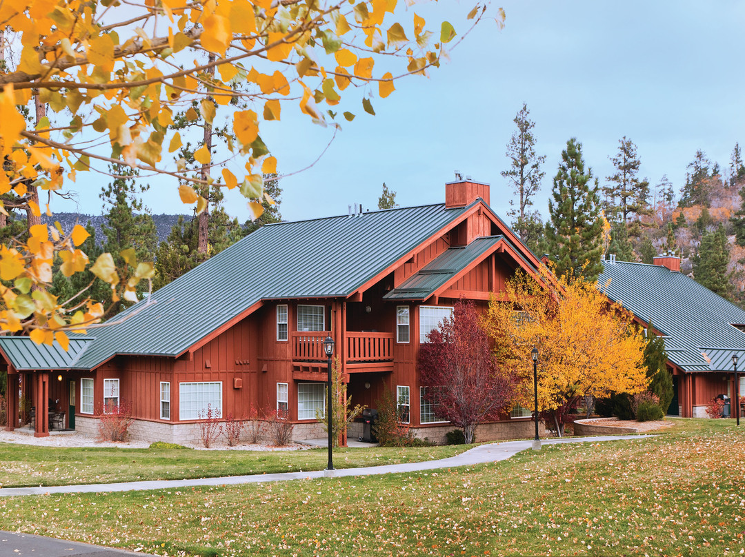 世誉大熊公寓式酒店主图