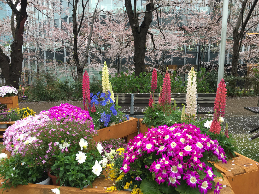 Tokyo Midtown Garden-Akasaka必去景点