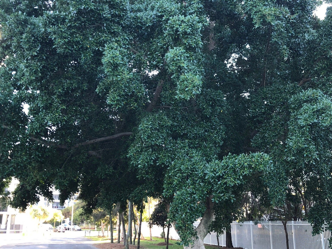 James Overall Park-绍斯波特必去景点