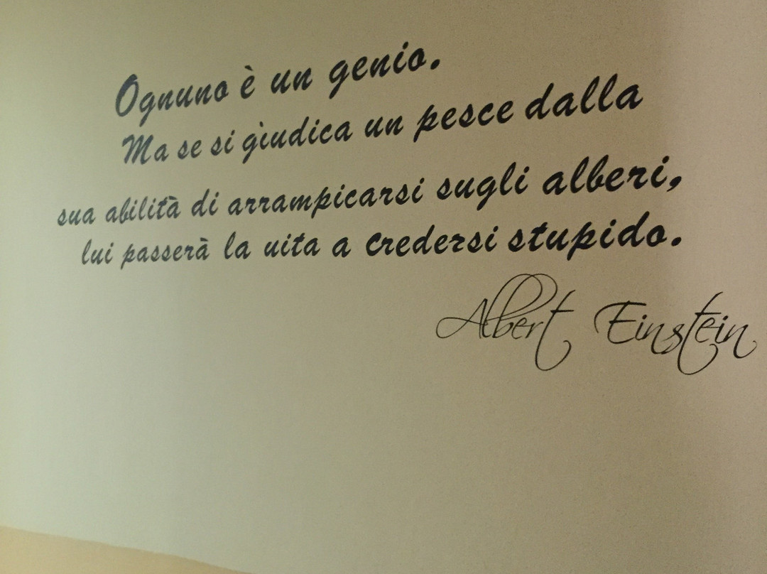 Albergo Tarsia主图