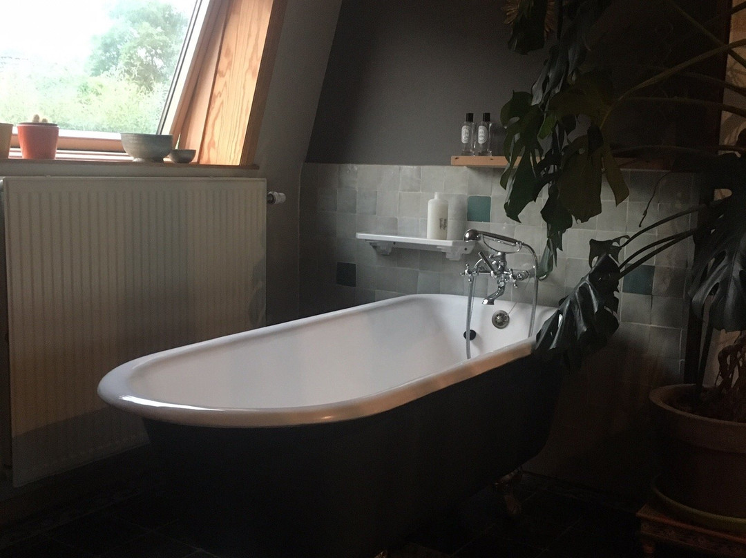 B&B De Weide Wereld主图