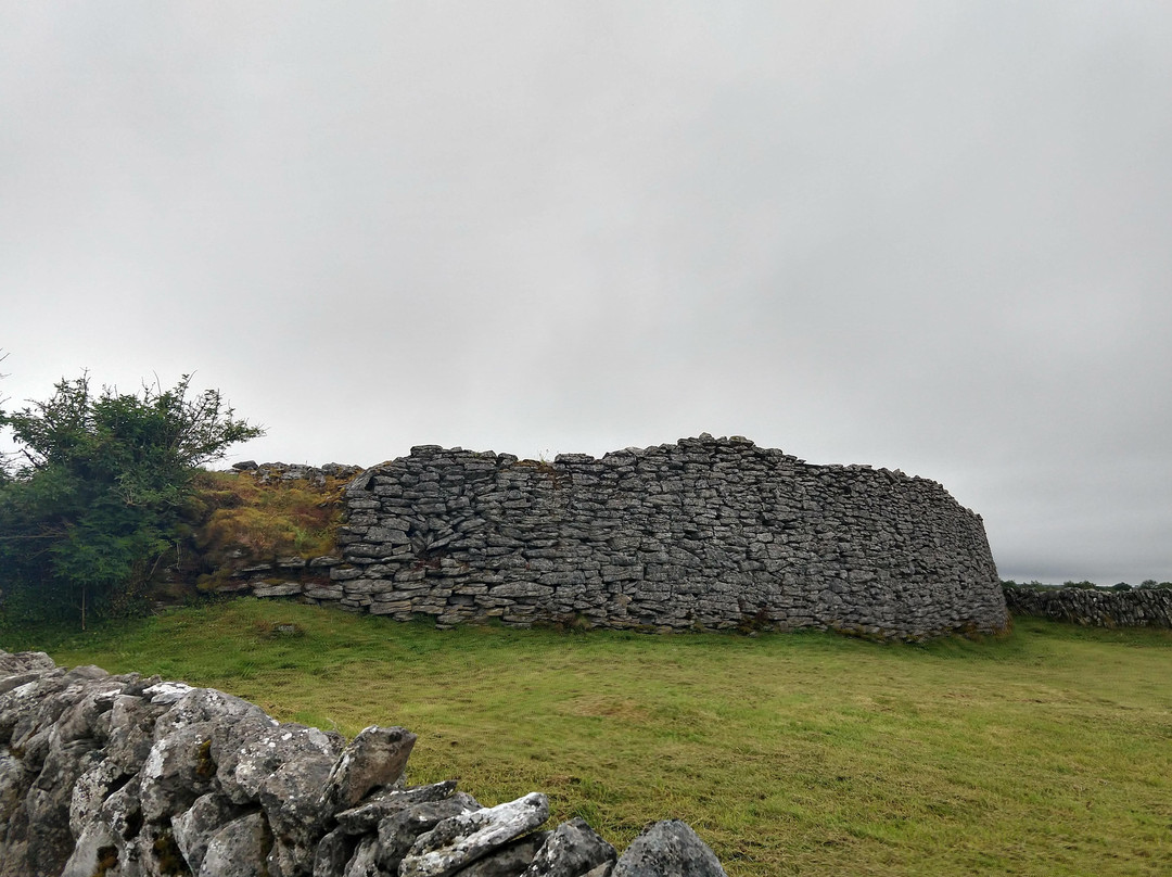 Caherconnell Stone Fort & Sheepdog Demonstrations景点图片