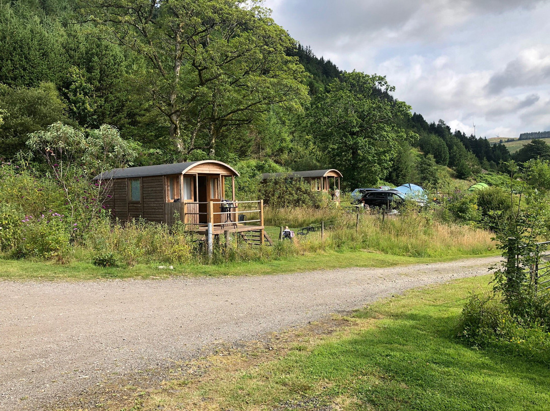 Willow Springs Campsite