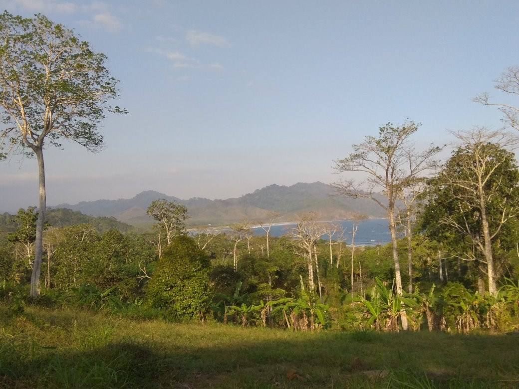 Meru Betiri National Park-巴纽旺宣必去景点