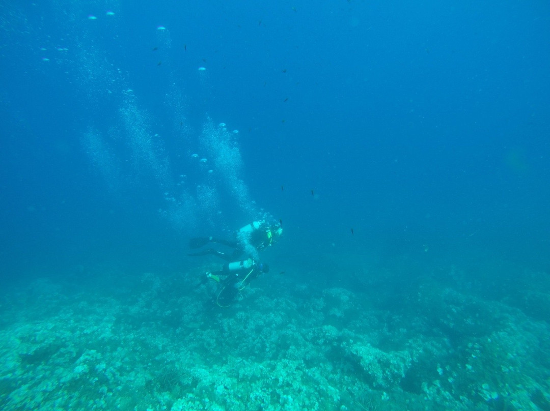 Unica Diving Elba景点图片