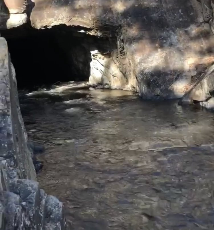 渥伦泰德省立公园-墨尔本必去景点