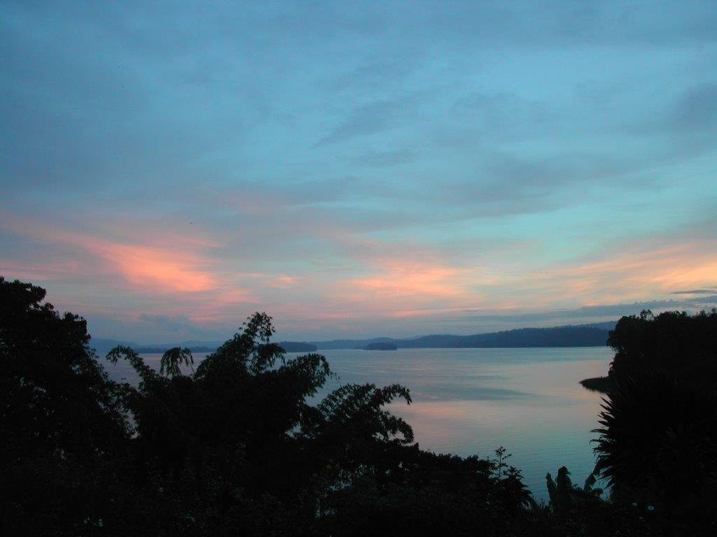 Orchids Safari Club主图