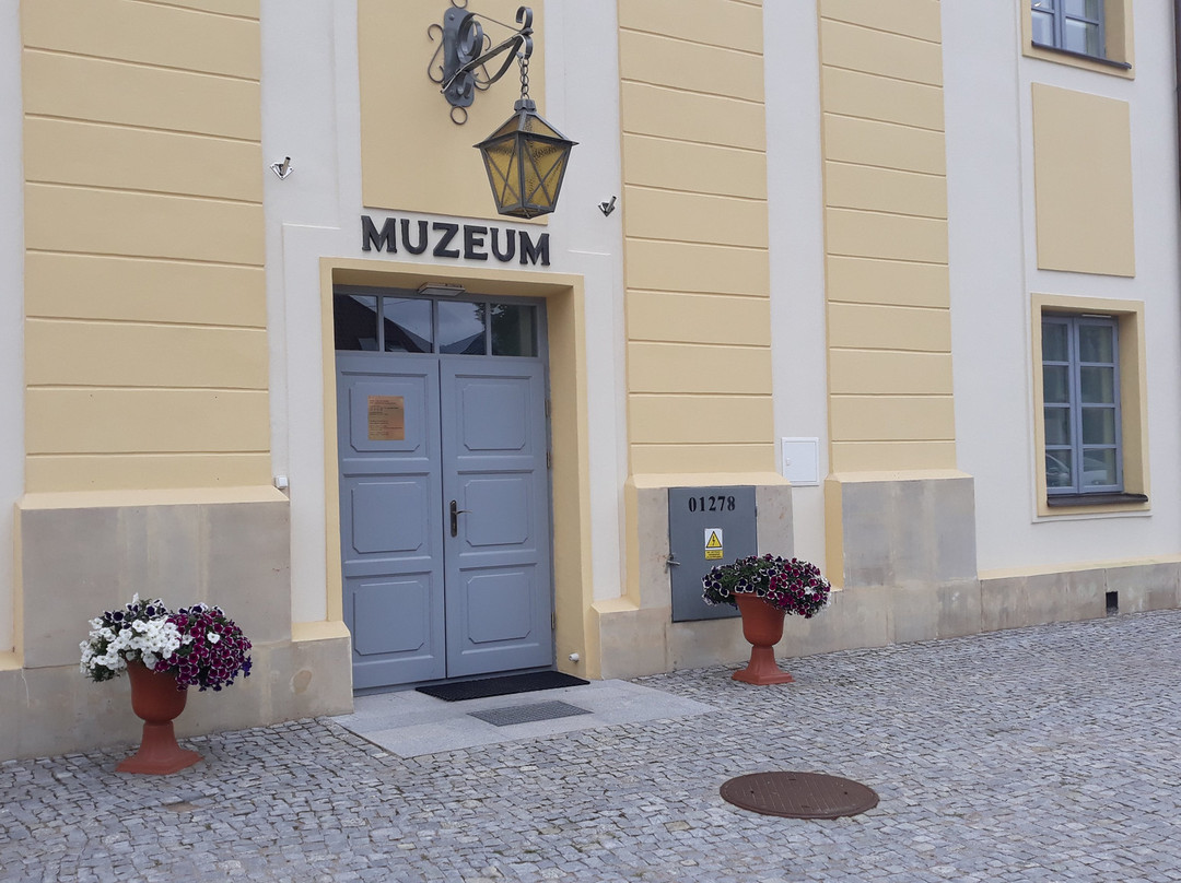 Museum in Bielsk Podlaski景点图片