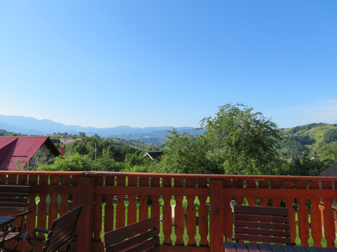 Pension Villa Hermani Magura / Bran主图