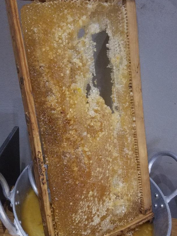 Bezalel Hotel - an Atlas Boutique Hotel主图