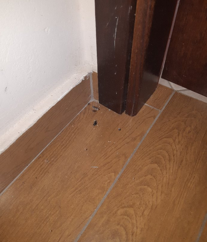 Hotel Mikri Archondissa主图