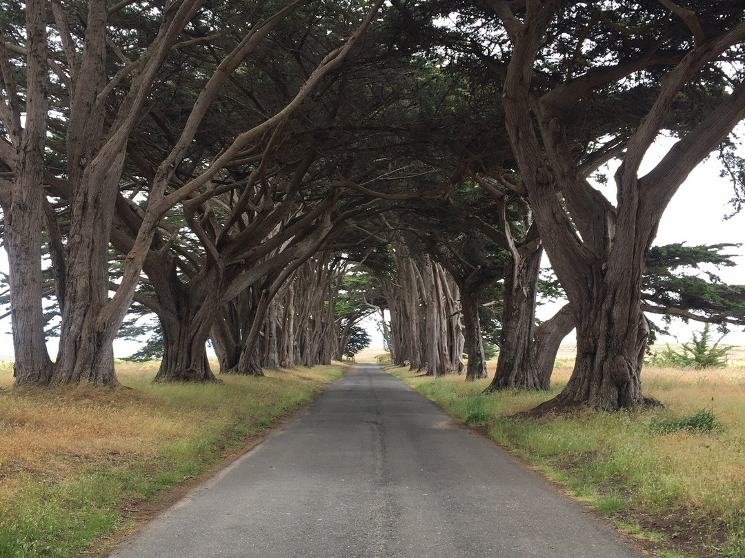 Marconi RCA Wireless Stations-Point Reyes National Seashore必去景点