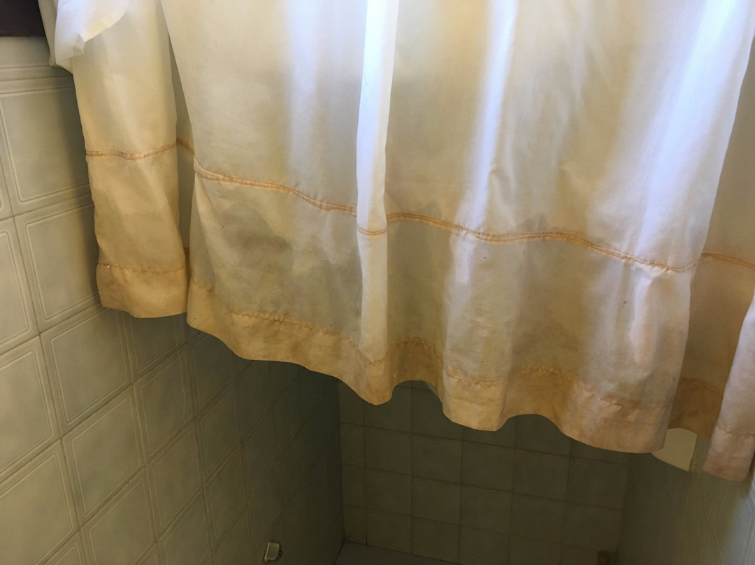 Elizabeth Studios主图