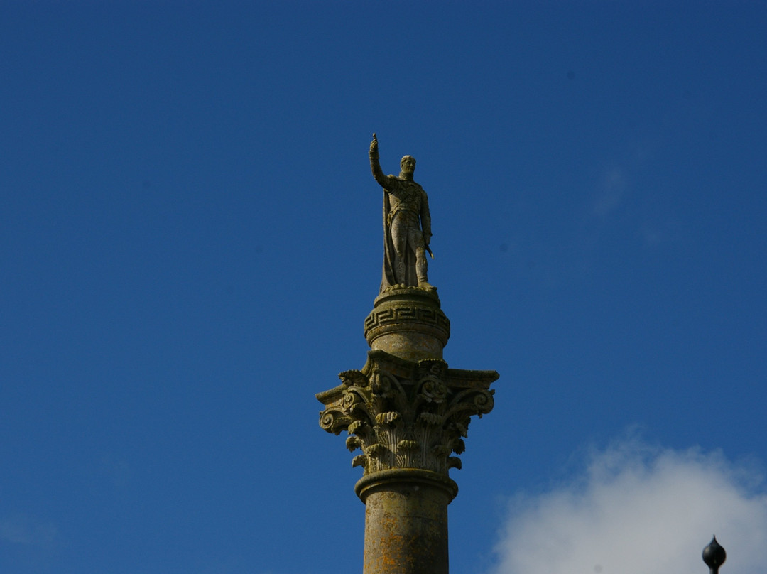 Wellington Memorial Monument-Trim必去景点