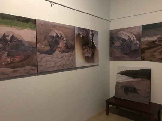 SPECTO-圣派屈克必去景点