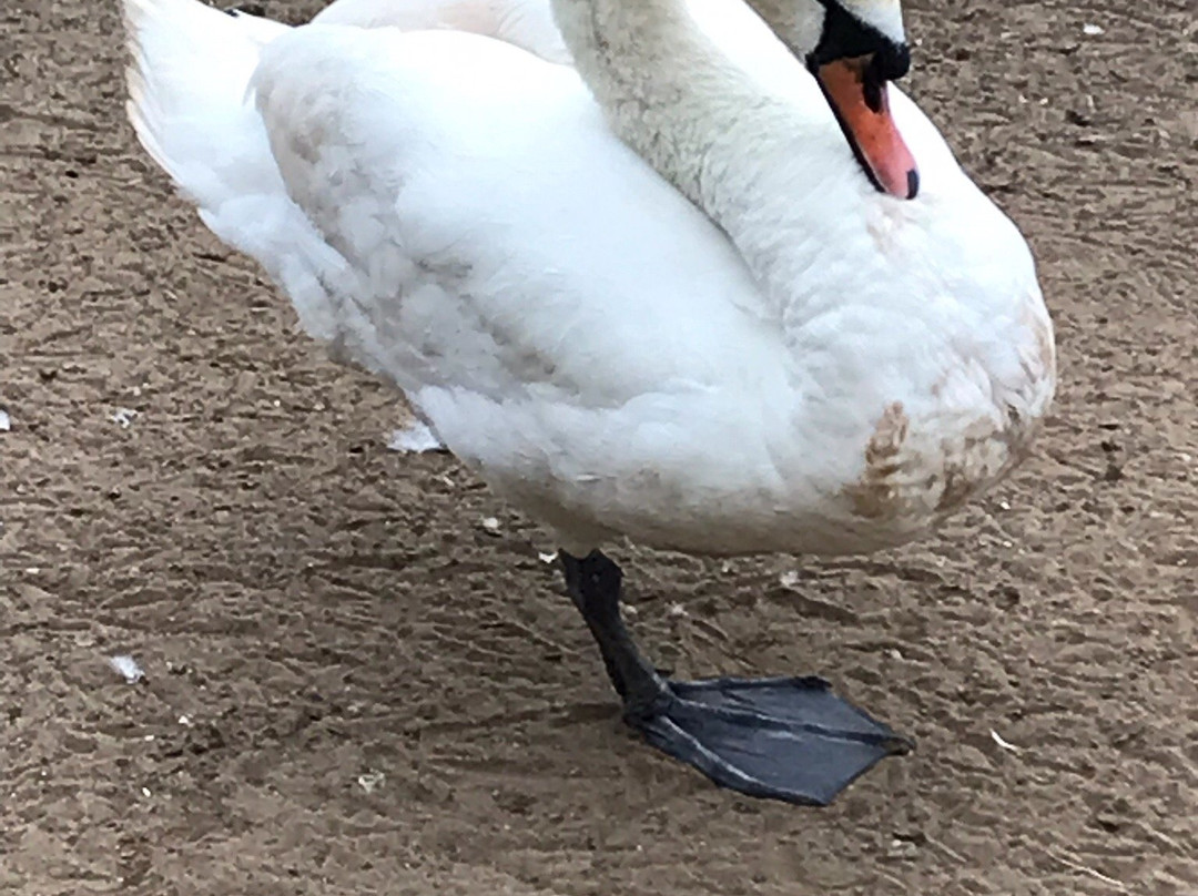 Riverside Park景点图片