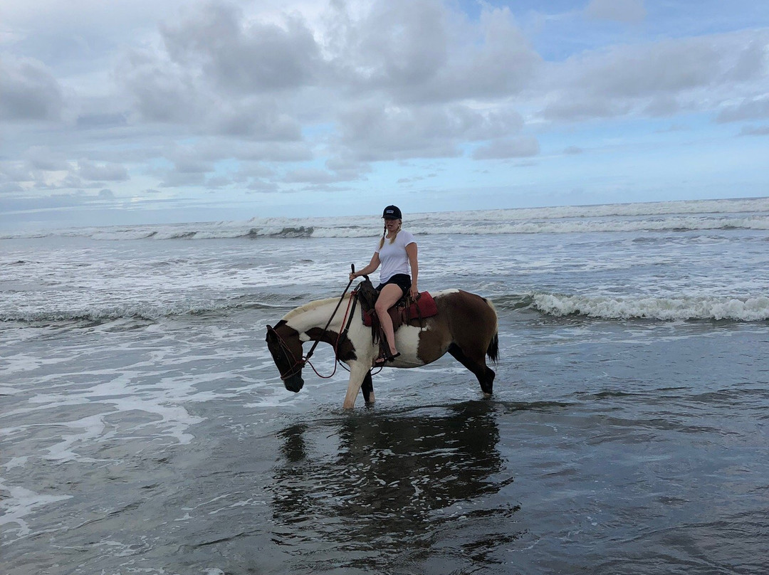 The Riding Adventure景点图片