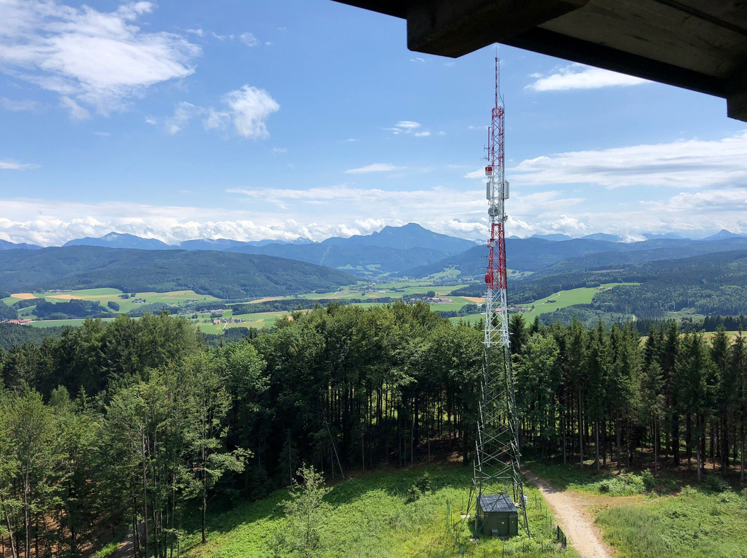 Aussichtsturm Lichtenberg-Lichtenberg必去景点